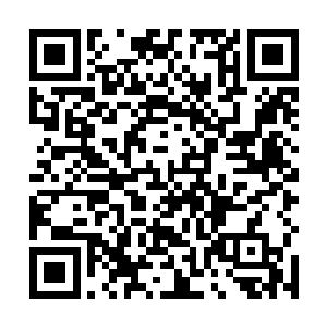 一个小小的大地之莽居然也敢无视他萌卡卡大爷的号令二维码生成