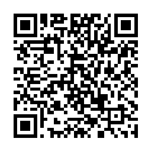 一举一动将仿佛又淡淡的清贵光华流动让人不愿侧目二维码生成