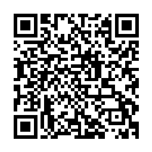 一众杀红了眼睛的军将士卒顿时撒开手不再追杀那些逃散敌人二维码生成