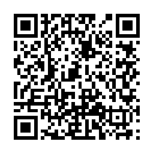 一副放在身边当作下一代储君百般宠爱教养的模样二维码生成