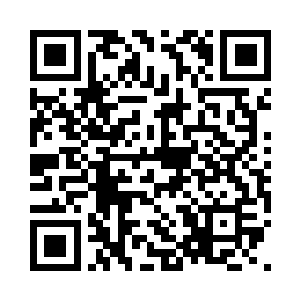 一只龙驹和一只巨型章鱼缠绕翻滚在一起二维码生成