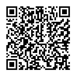 一块设置好路线被血妖姬之力捆绑在叶柄上的玉简不时闪出一圈流光二维码生成