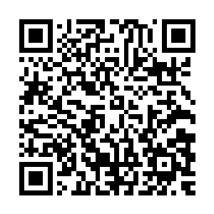 一旁的许冰听到秦宇和尚飞两兄弟的对话却是很隐秘的撇了撇嘴二维码生成