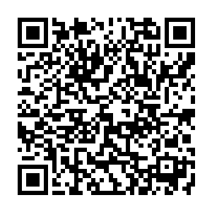 一杆黑洞洞的狙击枪其实就已经一动不动地瞄准了市委家属大院小区的门口二维码生成