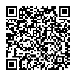 一直以为我们受困前给你们和暗桩联系的星铃是我们在反贼中安插的眼线二维码生成