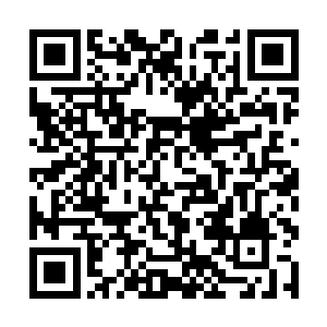 一直到啪的一下被荷官重重的扣在赌桌的细绒桌面上二维码生成