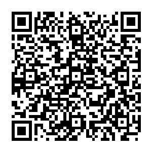 一般情况下只有实力达到顶尖的金仙或是修为达到大罗金仙境界的修士才可以进出二维码生成