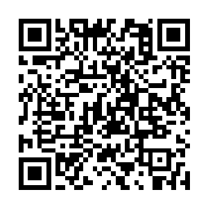 一连串的家鬼攻击虽然无法对王珞婴造成实质性的攻击二维码生成