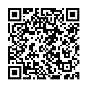 一阵光芒闪过流墨墨任务簿上只显示完成的任务变成一大片字幕二维码生成