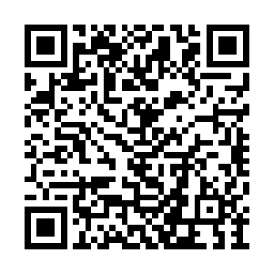 一面跟我们刚才没转身时看到的一模一样的纸墙二维码生成