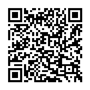 万界王庭怎么会用混沌塔镇压它并丢在这儿不管二维码生成