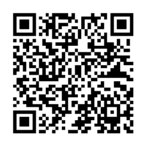 三大家族的势力现在已经大到连皇室也不敢小觑二维码生成