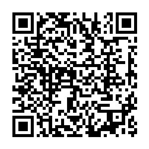 下土演化的生命对于族人是不完整的……我希望他们能真正的活着……二维码生成