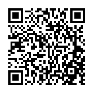 不仅需要一枚通行金简和一枚万珍商会特制派发的储物戒指二维码生成