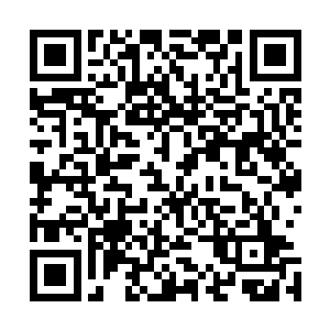 不如让它们彻底遵守活生生的有着无比威望的主公来得实在二维码生成