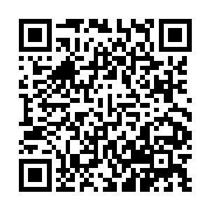 不得不说这一局比赛充满了各种不确定性因素和亮眼操作二维码生成