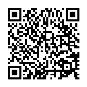 不料他的两名弟子在刚才各自闪电般拿出一枚符箓拍在眉心二维码生成