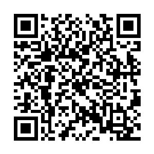 不是一个宗门的修士对信息的保密程度还是很高的二维码生成