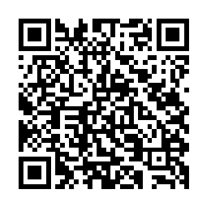 不是为了让你们能像你们的爷爷伯伯或其他读书人一样去战斗二维码生成