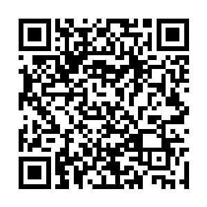 不死圣皇在他们体内所留下的一缕不死之力的根本二维码生成