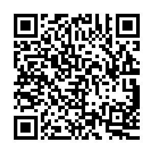 不然他们也不用因为捕捉到世家的动态后牺牲了一名嫡系潜入二维码生成