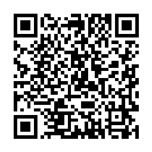 不然的话倒是可以和你们一同去你们所在的国家看看二维码生成