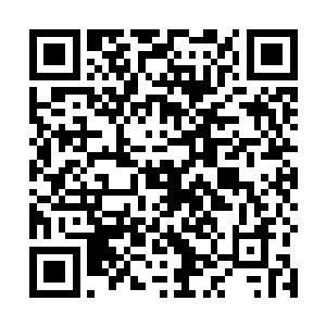 不相信林安和那个几乎没人类感情的班长间会真有什么二维码生成