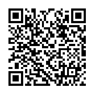 不知是不是流墨墨语气中的松动和状似最后的迟疑二维码生成