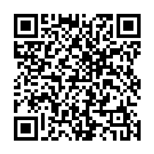 不管你是把屎尿倒进锅里还是直接放任自己父母在床上不管二维码生成