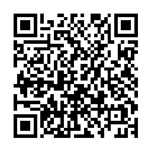 不管魏国公府平日里怎样的表现出一副不甘于南京政务的姿态二维码生成