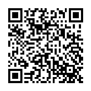 不过下一秒他便用实际行动让她了解了忍她的代价是什么二维码生成