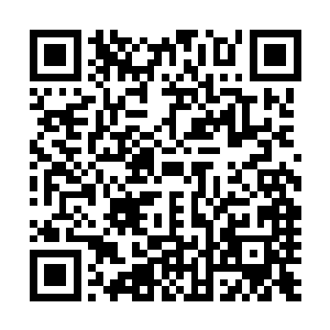 不过二十多公分的龙虾还有每人一份的小蟹的确是挺长脸的二维码生成