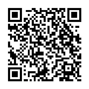 不过他看着澜涛子一副一切尽在掌握之中的样子格外不舒服二维码生成