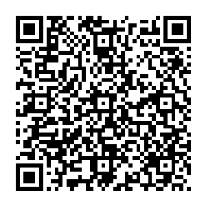 不过在他解决邪物的时候却是没注意到一直一副乖巧模样的细竹在他用血焰湮灭邪物的时候二维码生成