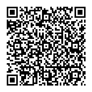 不过好在洪荒血皇录这秘籍洪大力是确确实实有的他拿到这秘籍的时候系统可是实实在在的记录了下来二维码生成