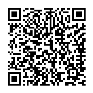 不过妖神宗现在如同一盘散沙其宗门之内修为达到炼虚期就只那几人二维码生成