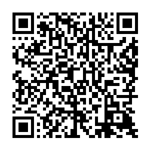 不过张铁教他们制作的几个用树枝和石块做的小陷阱却收获了两只野鸡二维码生成