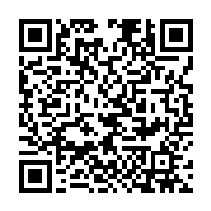 不过很快胡振顿时注意到了在出口的杨戬和影儿两个人二维码生成