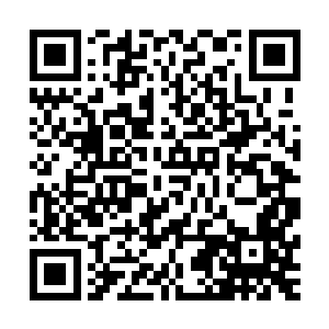 不过很显然他们的档次比开始的时候那些小贵族要上升了很多二维码生成