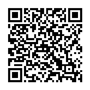 不过我看到你们班主任带着你们班的一些同学也过来了二维码生成