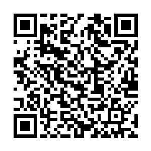 不过是不是就在叶尊所在的这座城池中还得看线路指引二维码生成