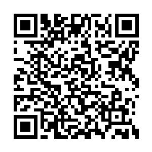 不过最近一段时间枫林城确实出现很多外来之人二维码生成