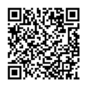 不过此时龙傲天通过鸿蒙塔的表现已经完全确认二维码生成