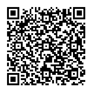 不过船上的食物挺丰富的不光是丰富而且船上的燃油机器包括电子设备全都是完好无损的二维码生成