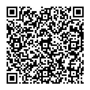 不过随即立即发现那刚和他达成约定的两名飞升者竟是晶亮和眸子盯着那鸽蛋大的血红晶石后二维码生成