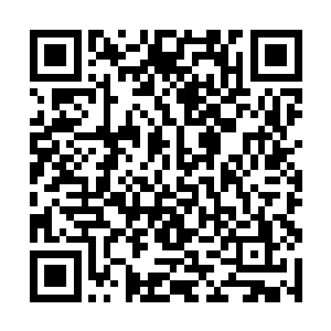 不过龙王却如同抓着救命稻草一般死死的没有放开过二维码生成