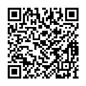 与之前凌桦的招待会唯一不同的是主客身份互换二维码生成