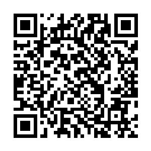 且已经算是半步宗师了……这个法尔的实力也算是很强了二维码生成