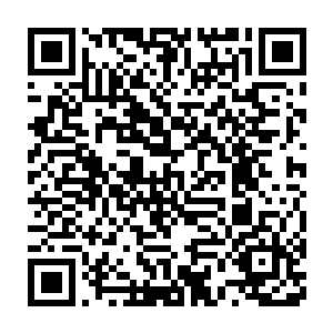 两三米的虾笼骨架可是钢制的就算是外面蒙的是钢网那重量也不轻了二维码生成
