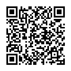 中午的时候二少爷他们确实在午休时到了祝先生的院子里二维码生成